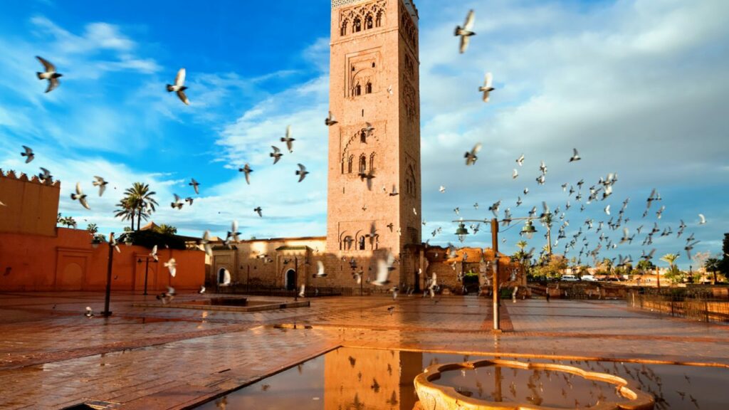 Vous pouvez désormais réserver un Taxi Casablanca Marrakech avec notre agence de transfert touristique au Maroc.